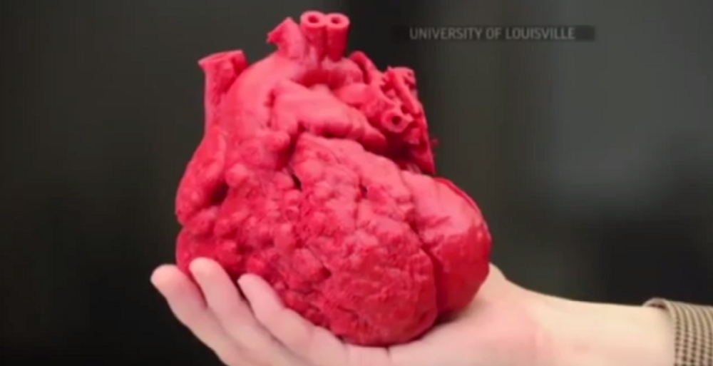 Ученые пытаются напечатать работающее человеческое сердце + видео