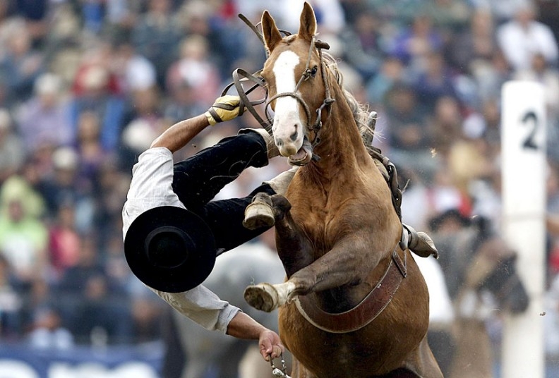 Гаучо падает со спины лошади во время ежегодного празднования Недели Криоллы в Монтевидео, Уругвай