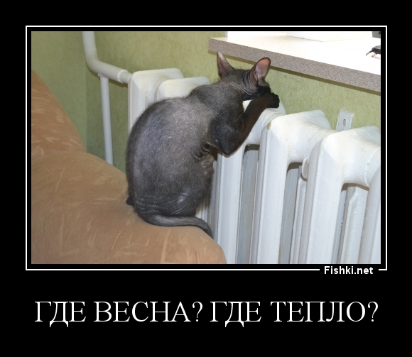 Где Весна? Где тепло?