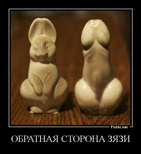 Обратная сторона ЗЯЗИ
