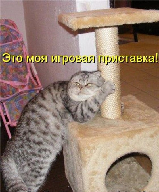 Котоматрицы