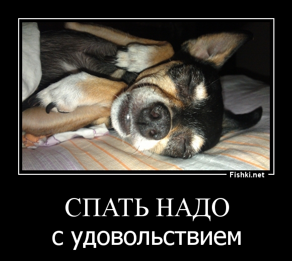 Спать надо