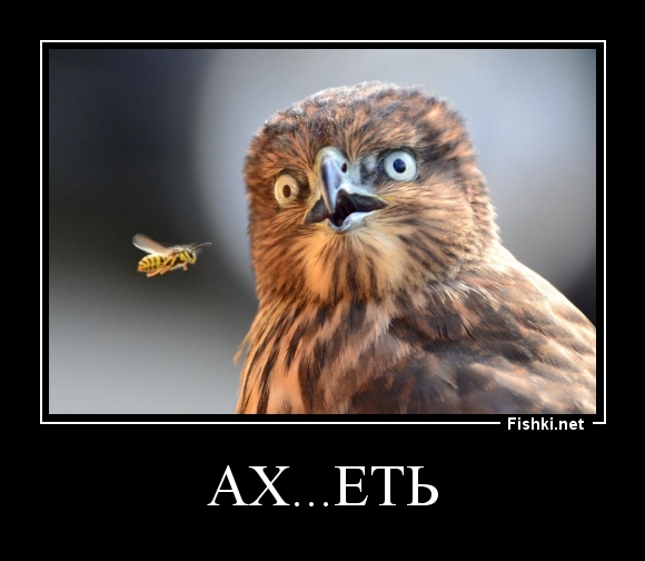 Ах...еть