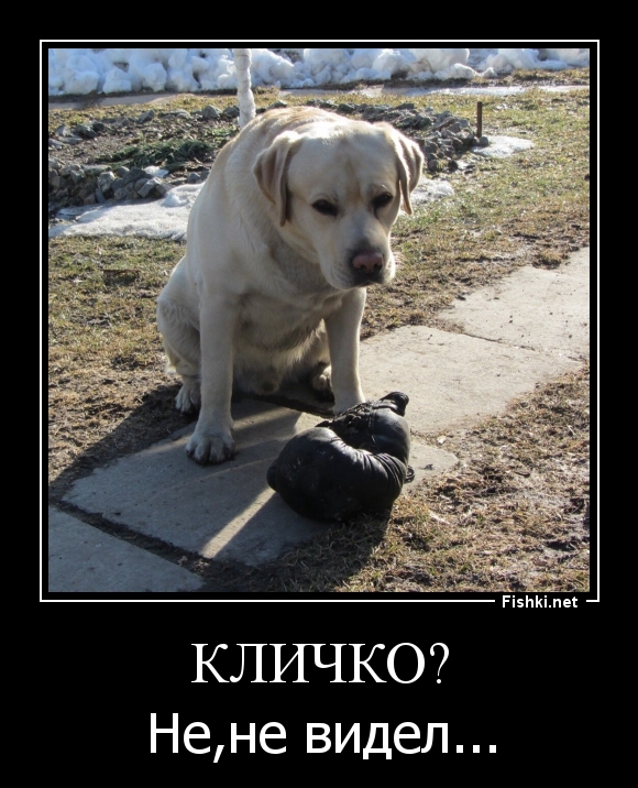 Кличко?