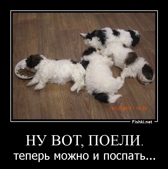 Ну вот, поели.