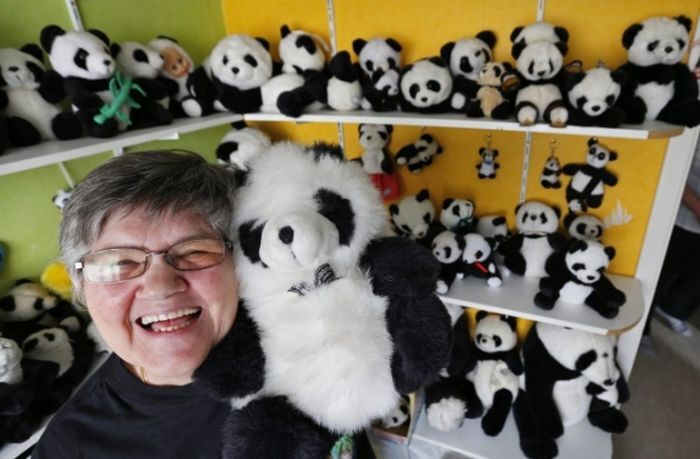  Селин Корент демонстрирует мягкую игрушку из своей коллекции панд 