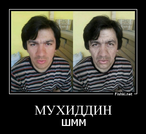 мухиддин