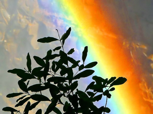 Радуга над водопадом Виктория. Просто красиво :)