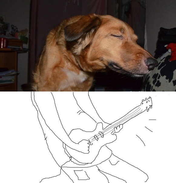 собака музыкант
