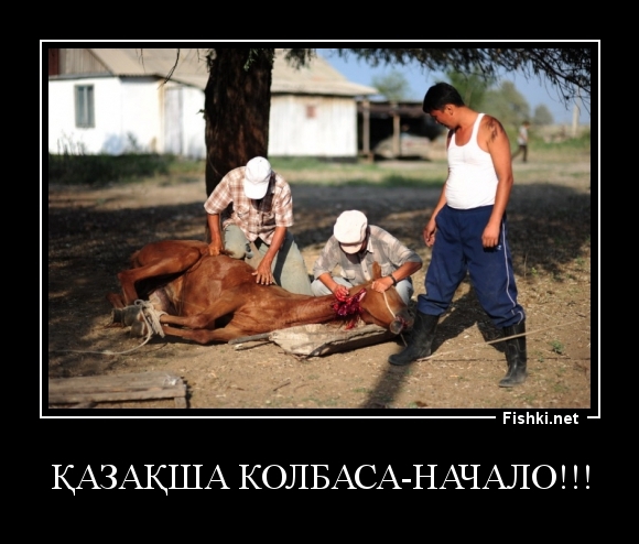 Қазақша колбаса-начало!!!