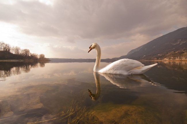 Лучшие фотографии National Geographic за прошедший месяц