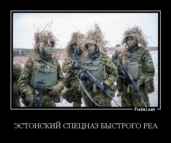 Эстонский спецназ быстрого реа