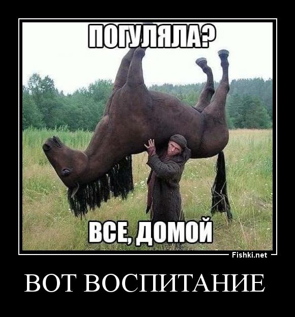 вот воспитание 