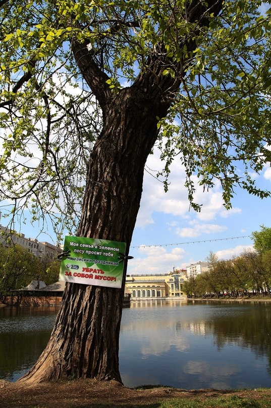 В Москве замечены ожившие деревья и странные существа