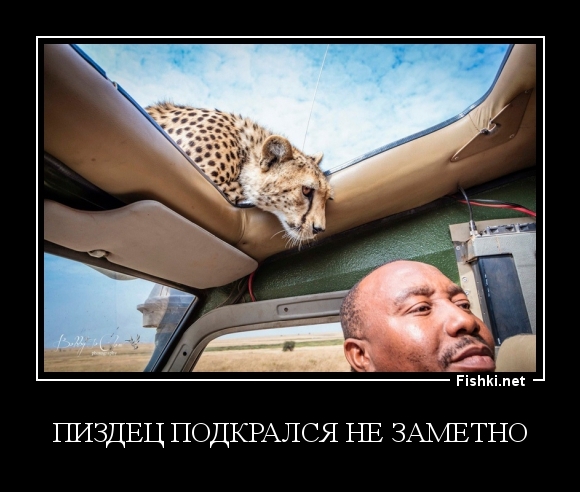 пиздец подкрался не заметно