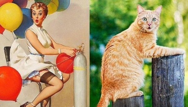 кошки vs девушки