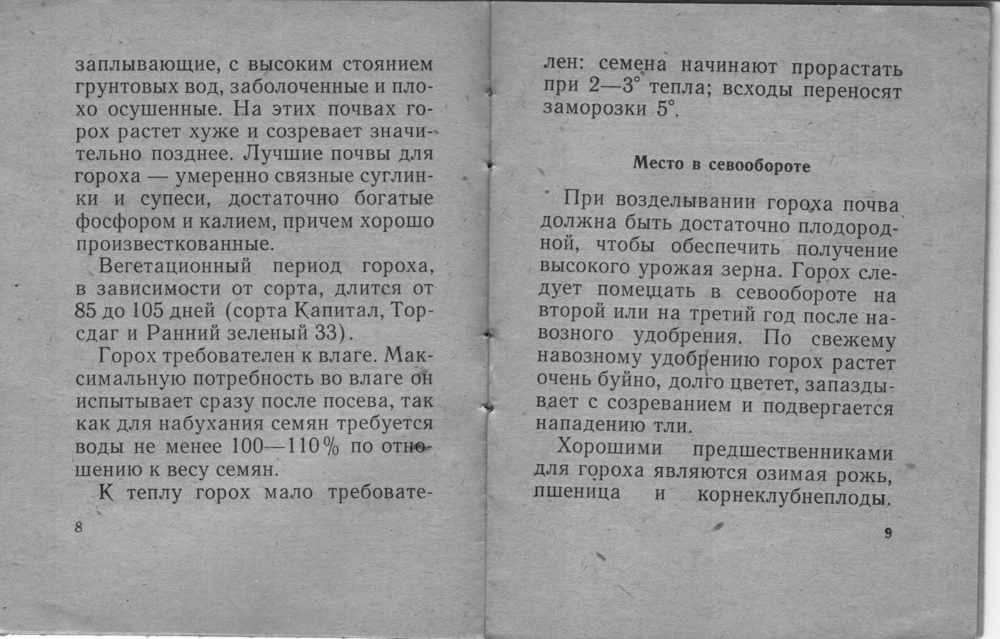 Памятка по возделыванию гороха, 1962 г.