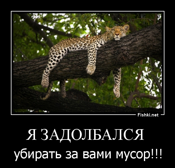 Я ЗАДОЛБАЛСЯ 