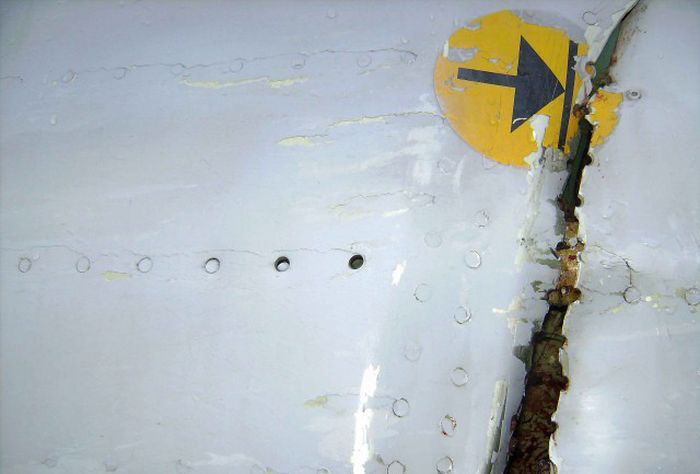 Столкновение самолета Ту-154м с гусем