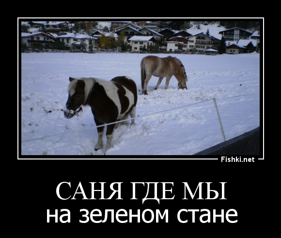 Саня где мы