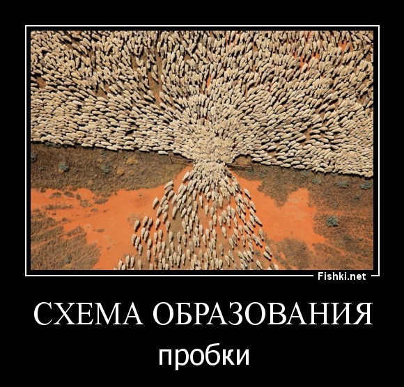 СХЕМА ОБРАЗОВАНИЯ