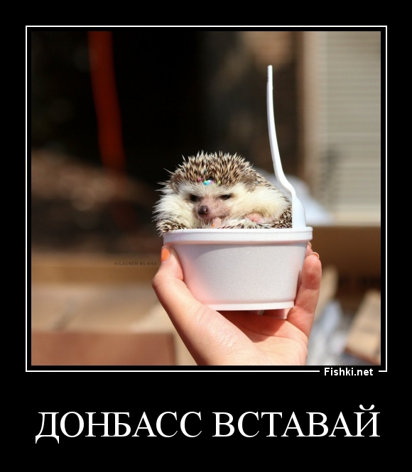 Донбасс вставай