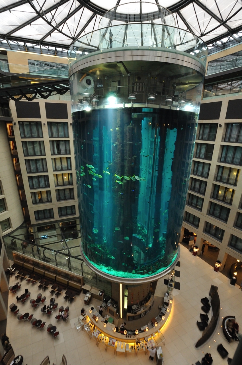 «AquaDom» - крупнейший цилиндрический аквариум в мире