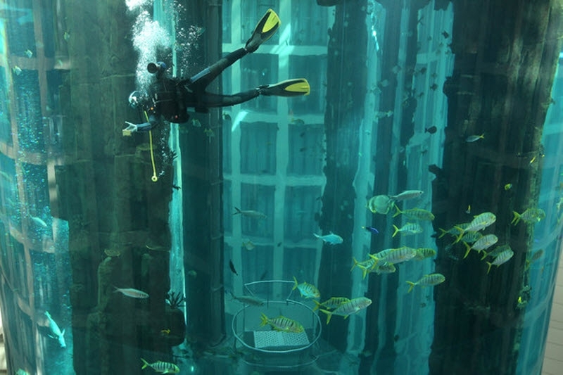 «AquaDom» - крупнейший цилиндрический аквариум в мире