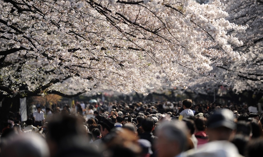 0,5 млн. рублей за тории японского святилища Инари в Фусими (Киото) 