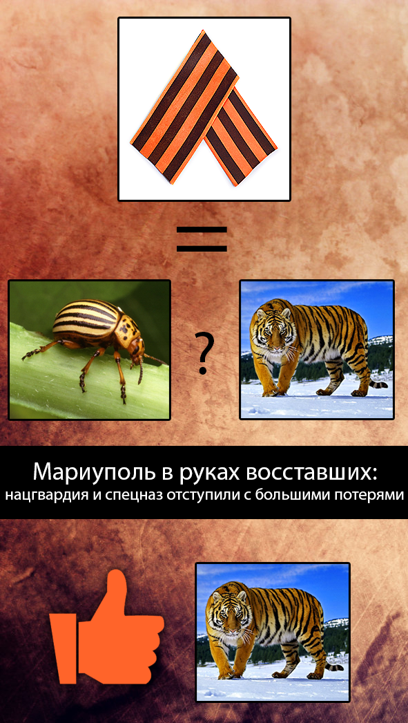 Колорады говоришь?