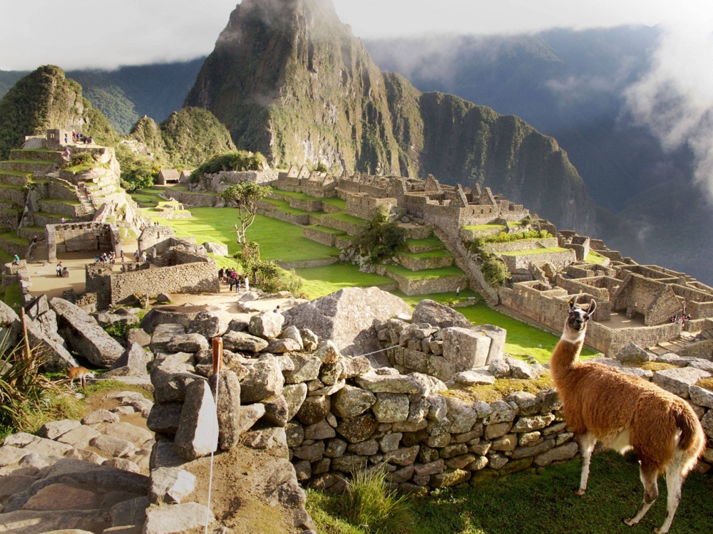 Небольшой фотоотчёт ламы о путешествии в Мачу-Пикчу.