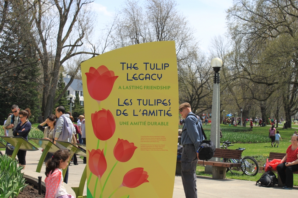 Канадский фестиваль тюльпанов и оттавский военный музей