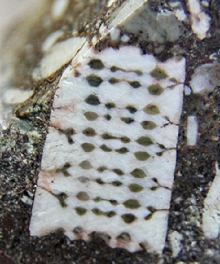 Нашли доисторический камень с «микросхемой»
