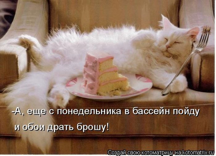 Лучшие котоматрицы недели 