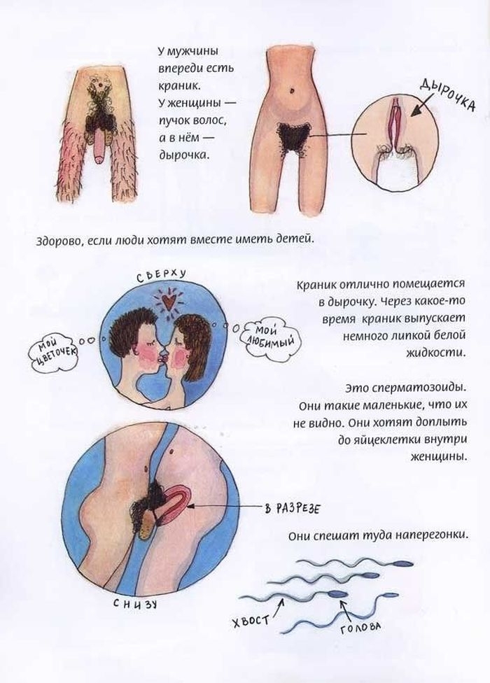 Детская книжка о сексе