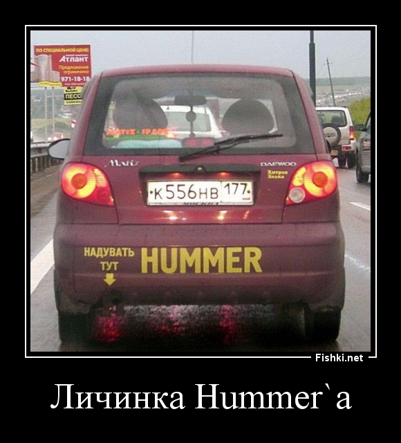 Личинка Hummer`а