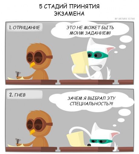  5 стадий принятия экзамена