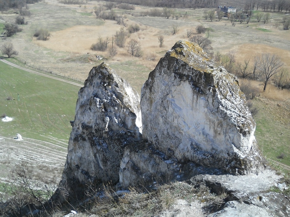 Белокузьминовка. Белые кручи.