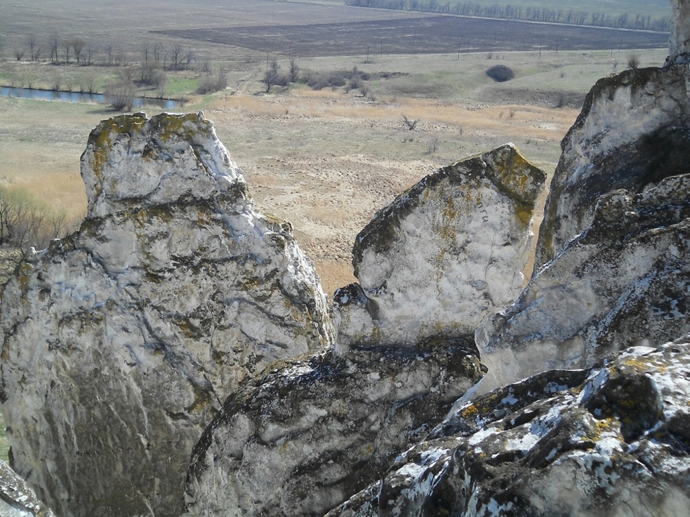 Белокузьминовка. Белые кручи.