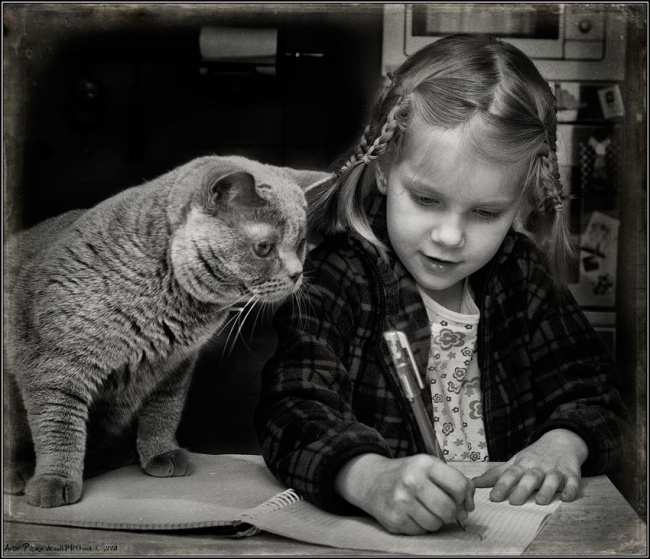 Трогательная дружба маленькой девочки и котиков