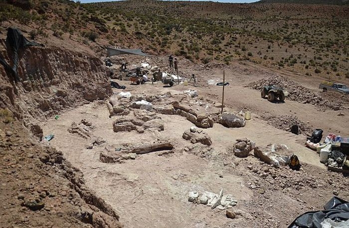 В Аргентине найден скелет самого крупного в истории динозавра