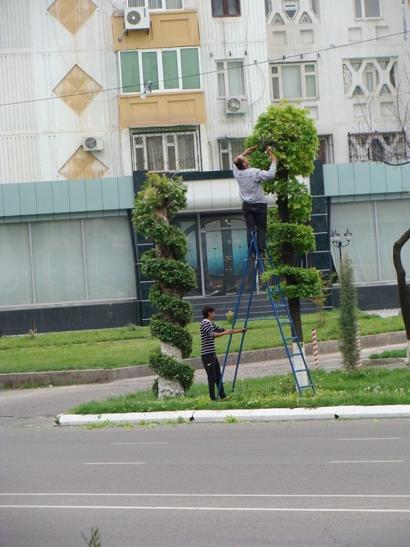  Ташкент в лицах