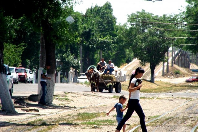  Ташкент в лицах