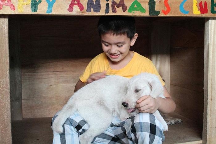 Мальчик открыл приют для бездомных животных