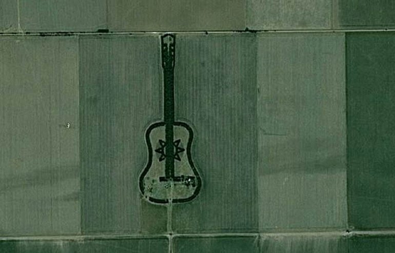 Лес в форме гитары в память о погибшей жене.