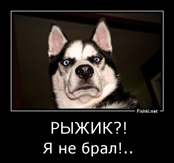 Рыжик?!