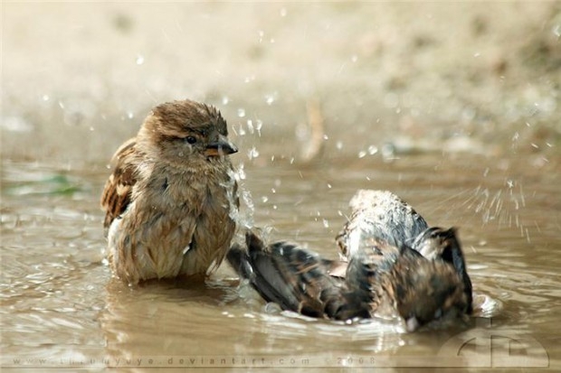 Вода - это жизнь