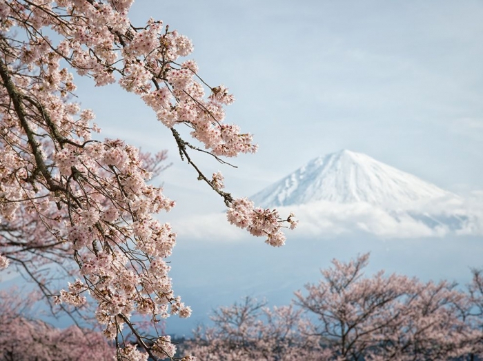 ЛУЧШИЕ ФОТОГРАФИИ NATIONAL GEOGRAPHIC МАЯ 2014