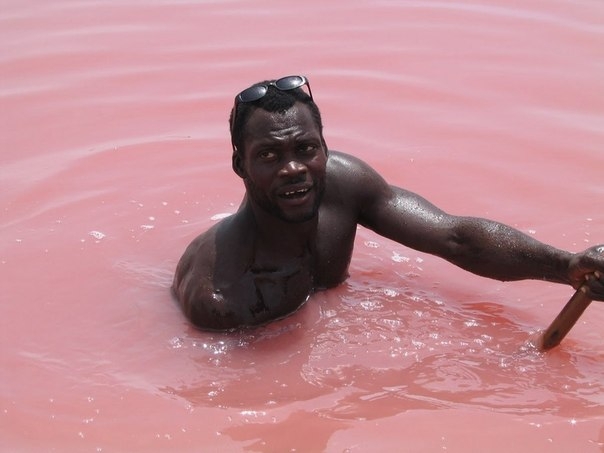 Ретба - самое розовое озеро Африки