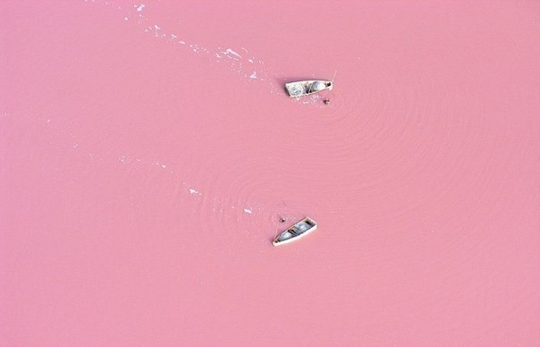 Ретба - самое розовое озеро Африки